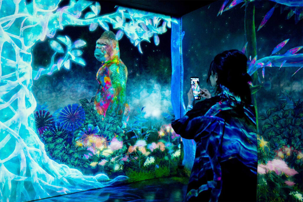 Galaxy＆ teamLab: Catching and Collecting in the Sacred Forest